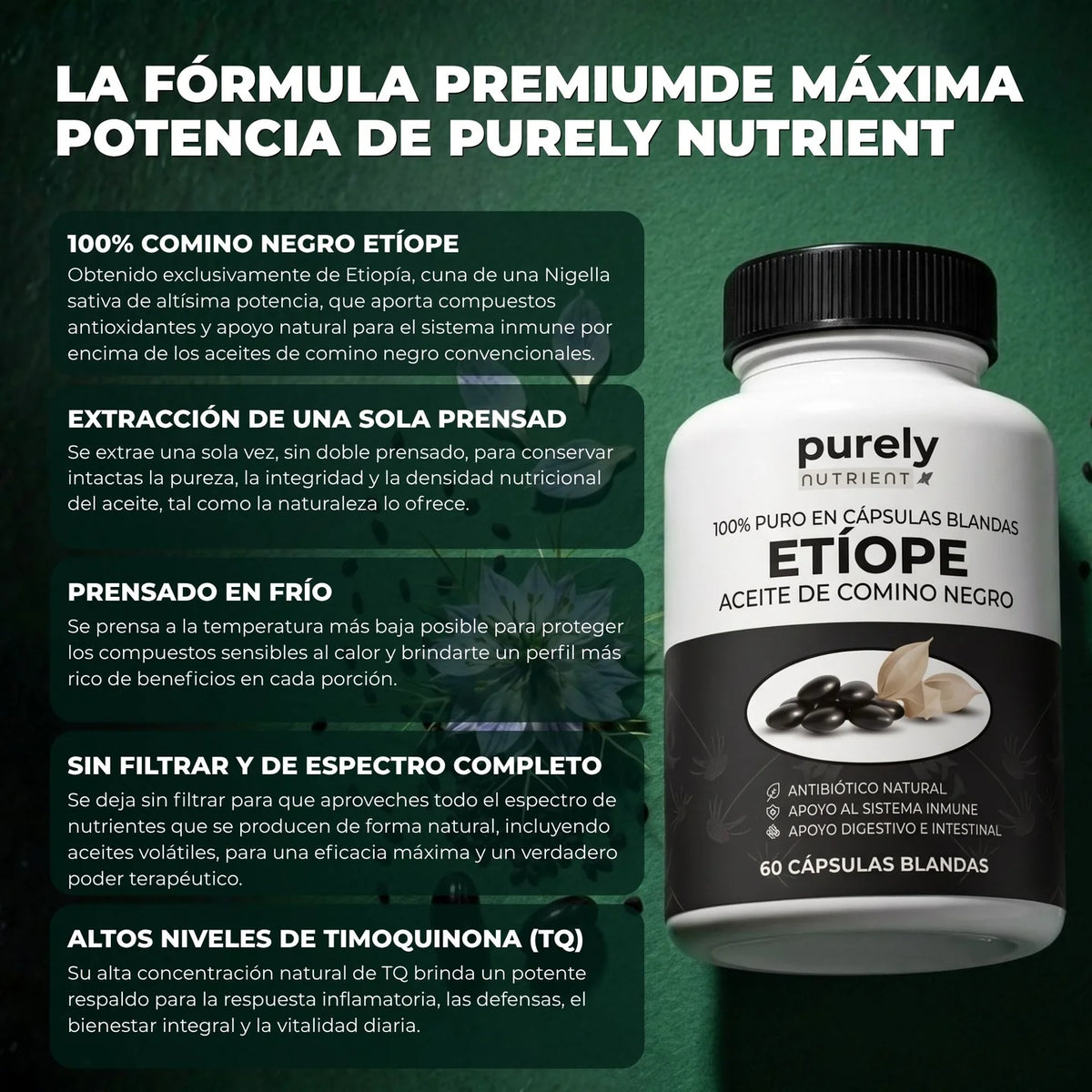 ACEITE ETÍOPE DE SEMILLA NEGRA